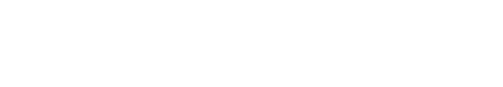 Bon Secours St Mary's Hospital School of Medical Imaging logo
