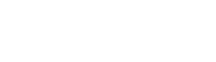CUNY Brooklyn College - Feirstein Graduate School of Cinema logo