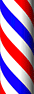 Dallas Barber & Stylist College logo