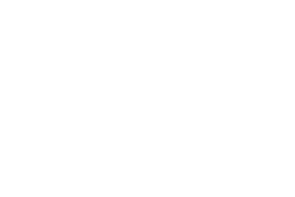 Designer Barber & Stylist School - logo