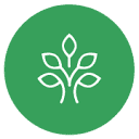 FINE Mortuary College logo