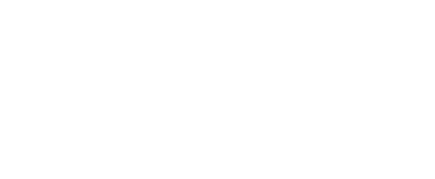 Florida School of Traditional Midwifery logo