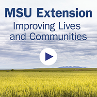 Montana State University logo