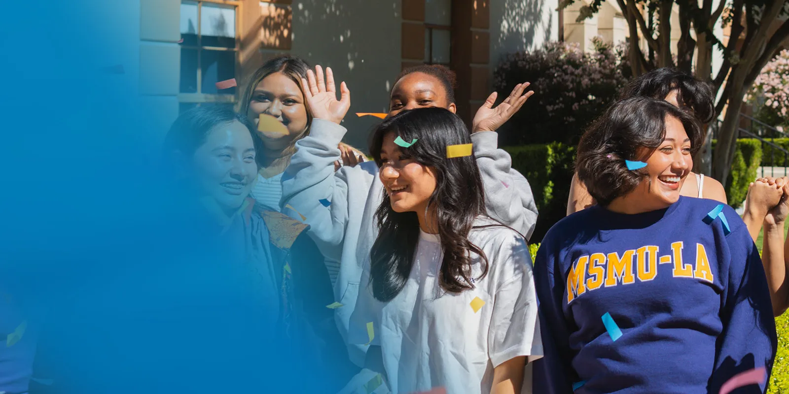 Mount Saint Mary's University - Doheny Campus logo