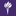 New York University logo