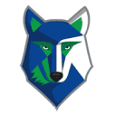 North Georgia Technical College logo
