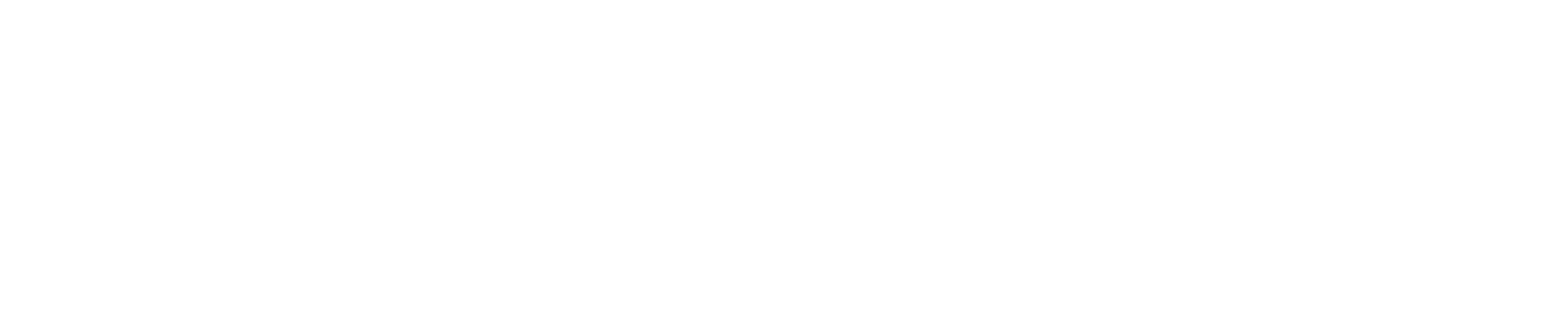University at Albany logo