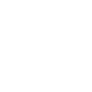 Washington State University - Everett Campus logo
