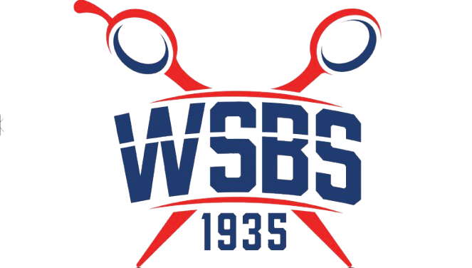 Winston - Salem Barber School - Satellite logo