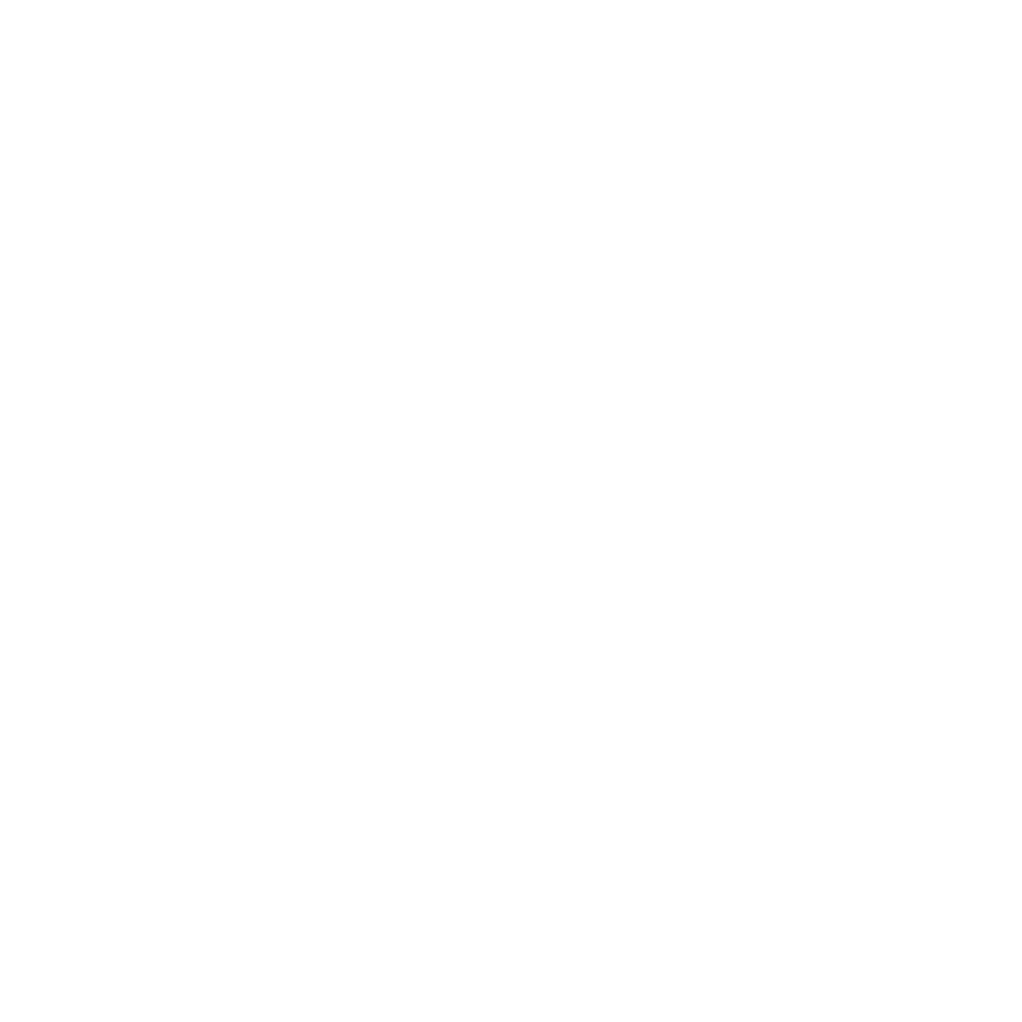 Yeshiva Ohr Yisrael logo